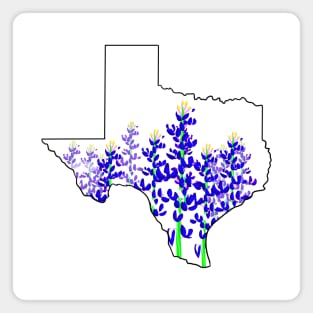 Bluebonnets Magnet